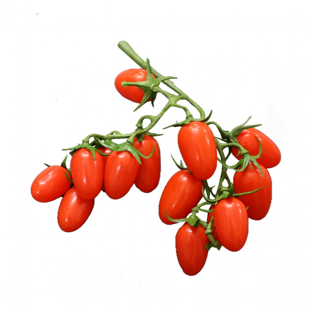 τοματινι βελανιδι